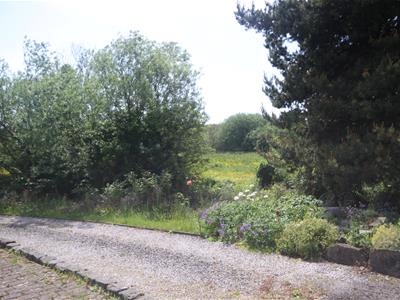 Picture 20